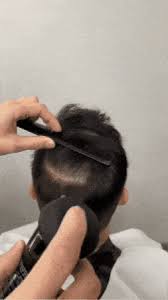 FIBRA CAPILAR + APLICADOR OCULTAR CLAROS EN EL PELO
